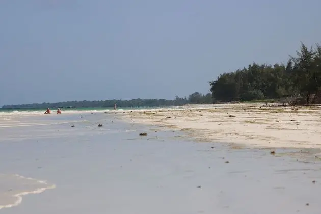 A Wonderful Beach Property in Diani Beach Kenyaa Dream Holiday Place - Dış Mekan