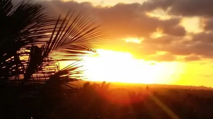 A Wonderful Beach Property in Diani Beach Kenyaa Dream Holiday Place - Plaj
