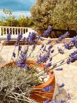 A2 - apt w. Terrace, Just 3 min Walk to the Beach - Dış Mekan