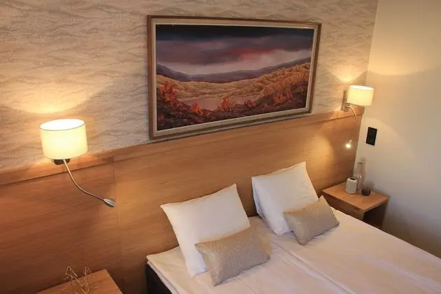 Hotel Aakenus - Oda