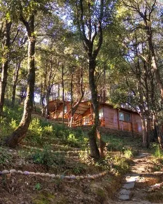 Aamod Resort - Shoghi