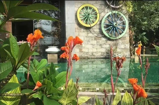 Aathma Colombo House - Havuz