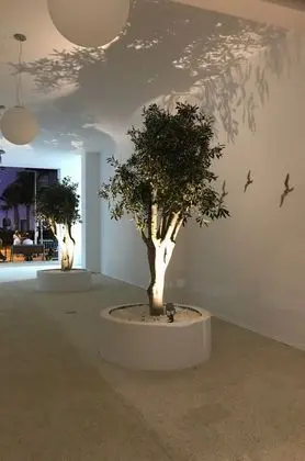 Abacus Suites - 1