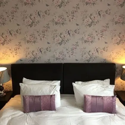 Abalone Guesthouse B&B - Oda