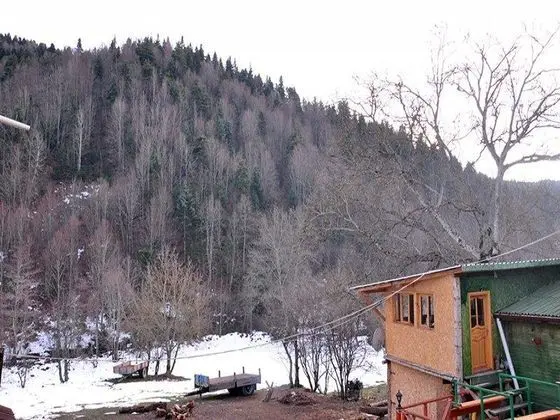 Abant Barış Pansiyon - Bar