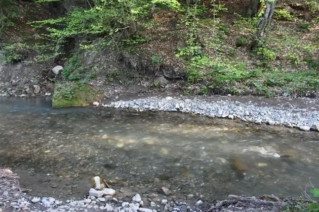 Abant Barış Pansiyon - Bar