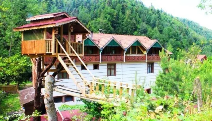 Abant Dere Otel - Genel