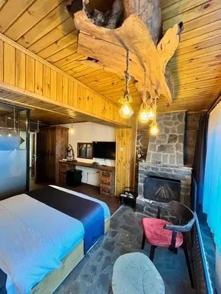 Abant Hitit Otel - Restaurant - Oda