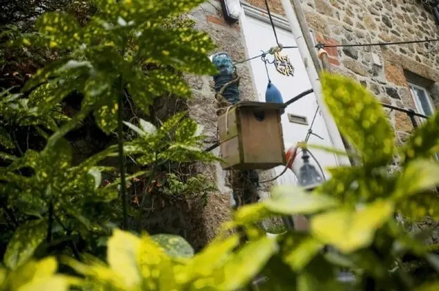Abbey Place Net Loft - Dış Mekan