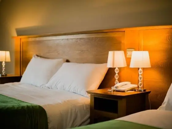 Abbeyleix Manor Hotel - Oda
