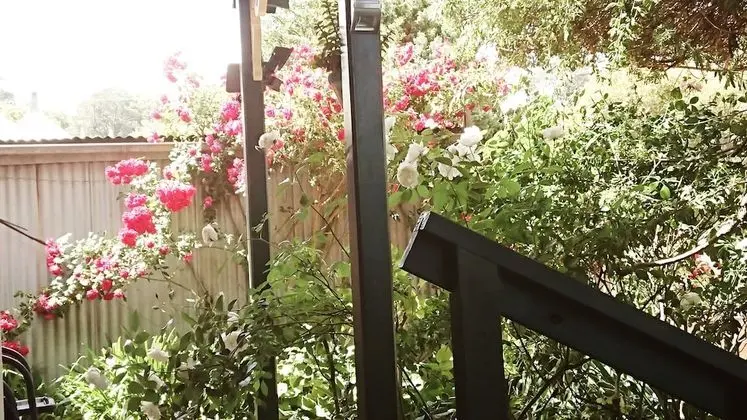 Abelia Cottage of Daylesford Botanical - Dış Mekan