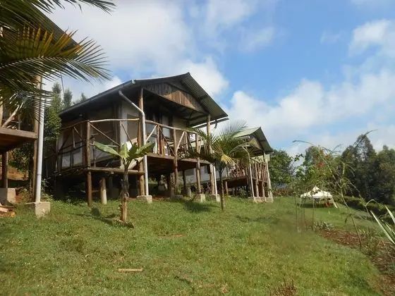 Aberdare Cottages & Fishing Lodge