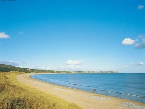 Abernos Gwaun-cae-gurwen - Oda