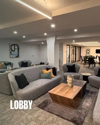 Absolute Collins - Lobi
