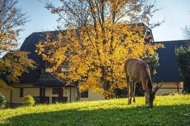 AC Apartmán Tatranská Lomnica
