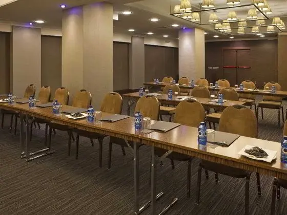 AC Madrid Carlton - İş / Konferans