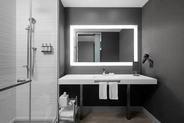 AC Hotel Pittsburgh Southpointe - Banyo Tipleri