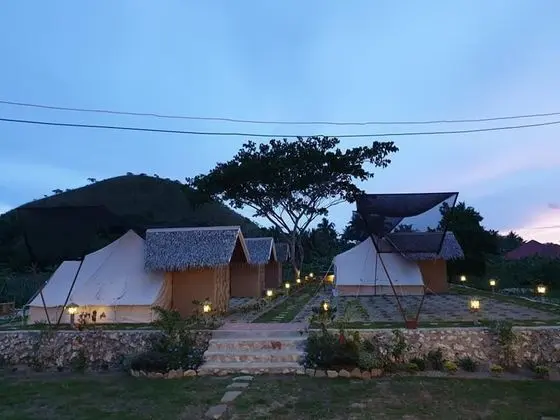 The Acacia Glamping Park - Dış Mekan