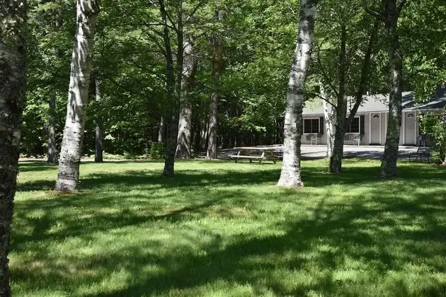 Acadia Pines Motel - Öne Çıkan Resim