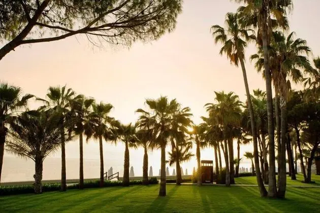 Acanthus Cennet Barut Collection - 4