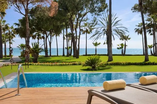 Acanthus Cennet Barut Collection - 6