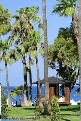 Acanthus Cennet Barut Collection - 6