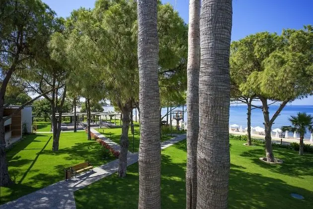 Acanthus Cennet Barut Collection - 7