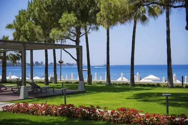 Acanthus Cennet Barut Collection - 8