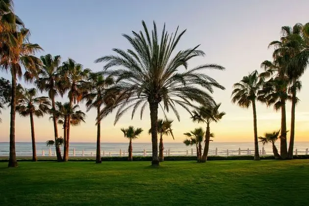 Acanthus Cennet Barut Collection - 5