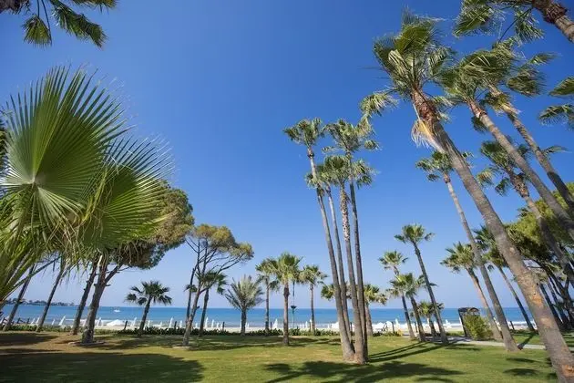 Acanthus Cennet Barut Collection - Dış Mekan