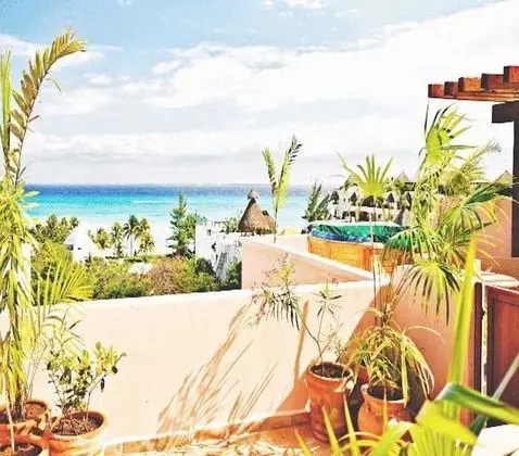 Acanto Boutique Hotel Playa del Carmen - Genel