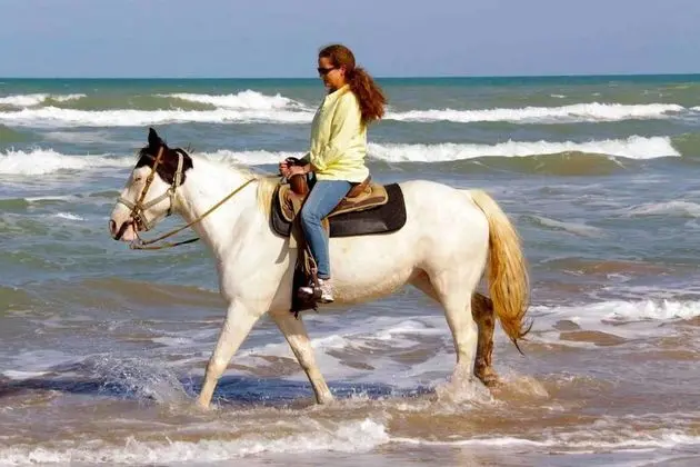 Acapulco Villa South Padre Island - Plaj