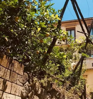 Accademia 39 - Dış Mekan