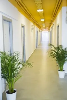 Acomodoro Residence - İç Mekan