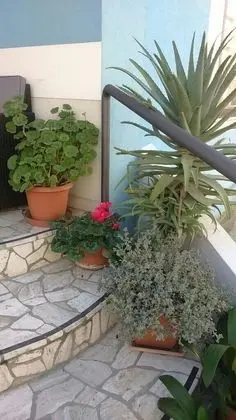 Hotel Acquazzurra - Dış Mekan