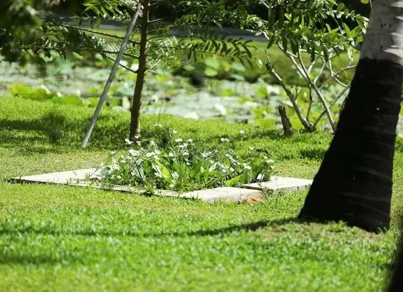 Villa Acres Green - Dış Mekan