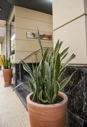 Acropolis Select Hotel - Dış Mekan