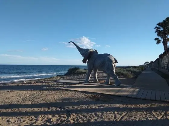 Acv - Isla Park-1 Línea Planta 1 Sur