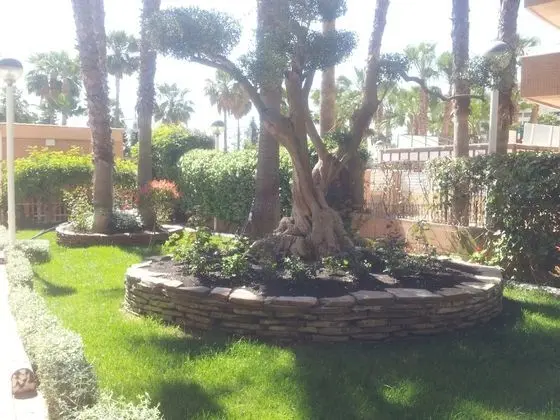 Acv - isla park-1ª línea planta 5 sur