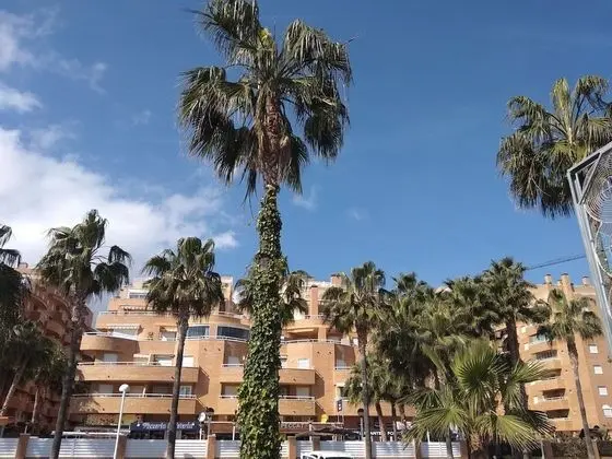 Acv - isla park-1ª línea planta 5 sur - Dış Mekan