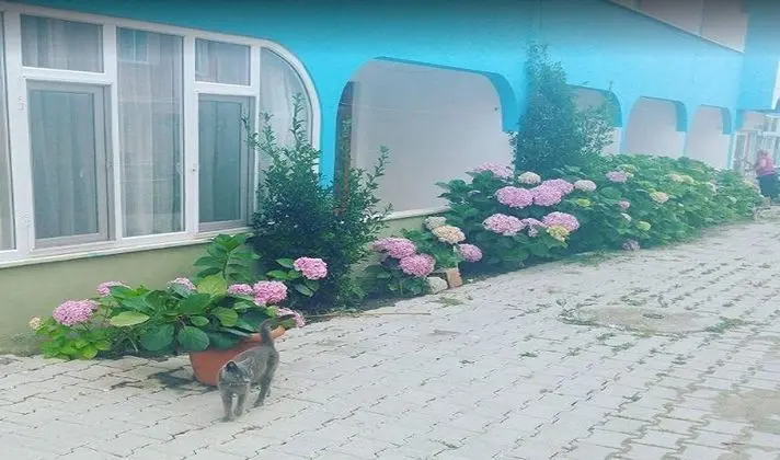 Ada Apart Motel 1 - Aile ve Çocuklar
