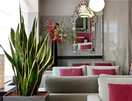 Adagio Aparthotel Paris Montrouge