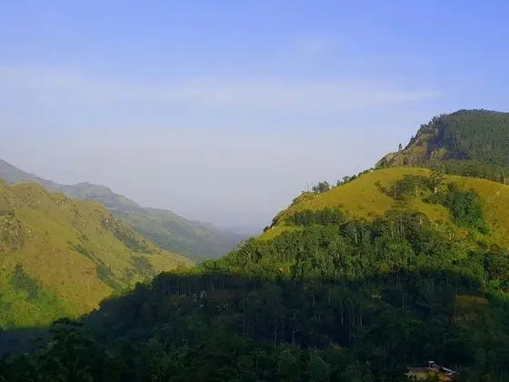 Adannz view