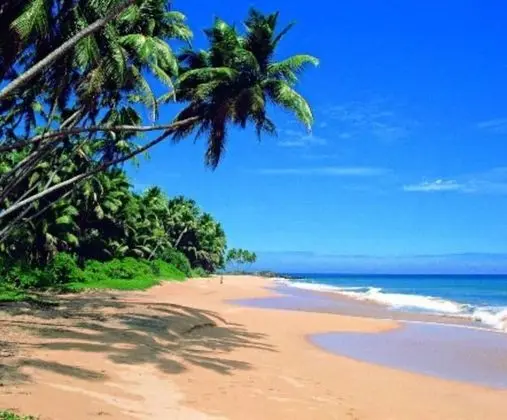 Adara Negombo