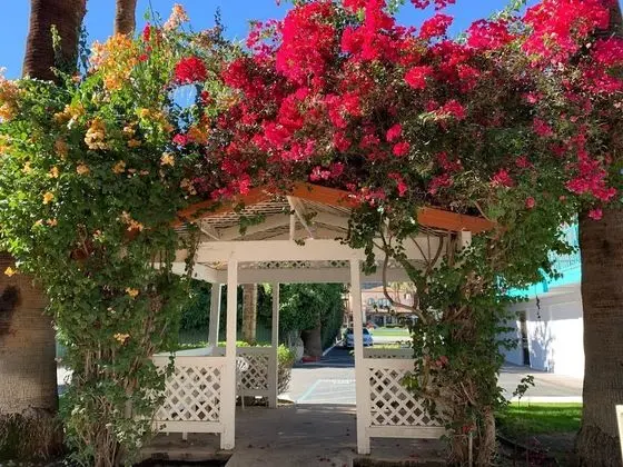 Adara Hotel Palm Springs - Dış Mekan