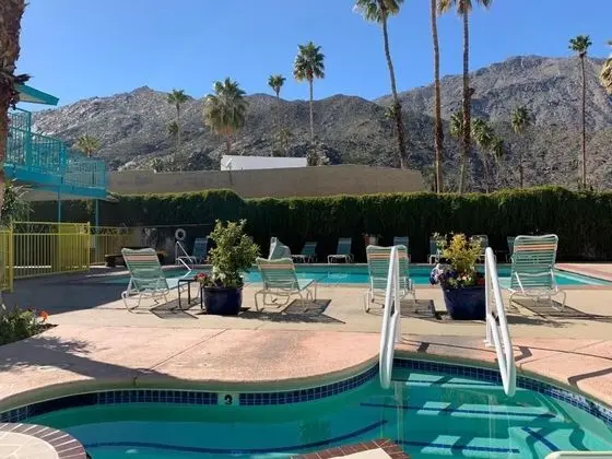 Adara Hotel Palm Springs - Havuz