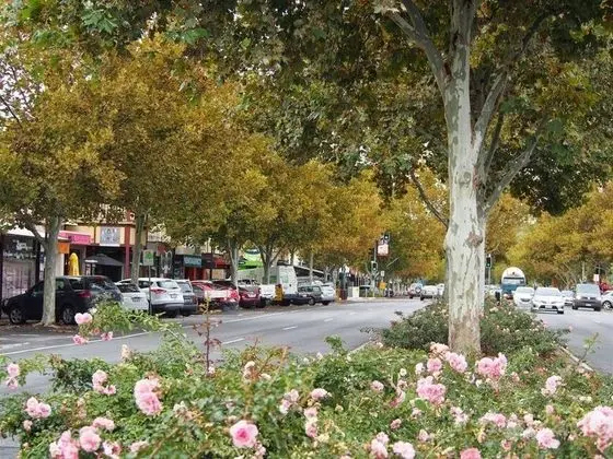 Adelaide Travellers Inn
