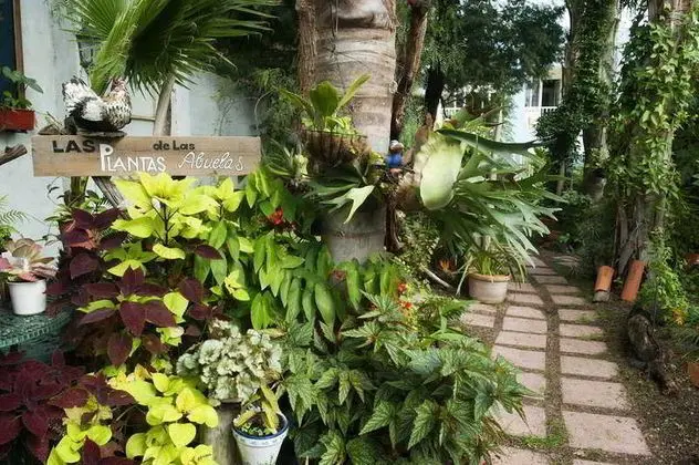 Adjovimar Apartamentos