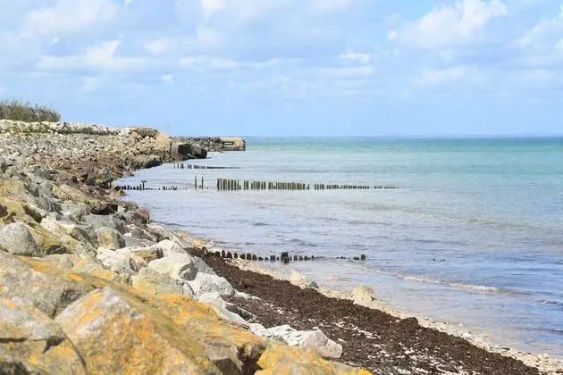 Adonis Grandcamp - Les Isles de Sola - Plaj