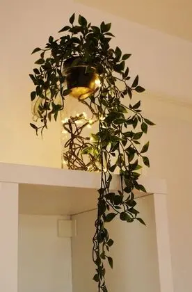 Adventure Guesthouse - İç Mekan